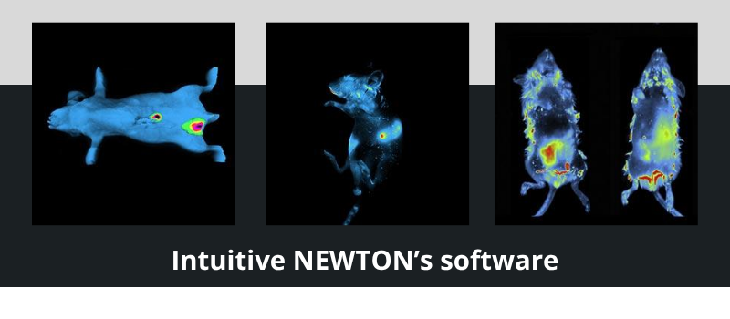 Intuitive NEWTON’s software.png